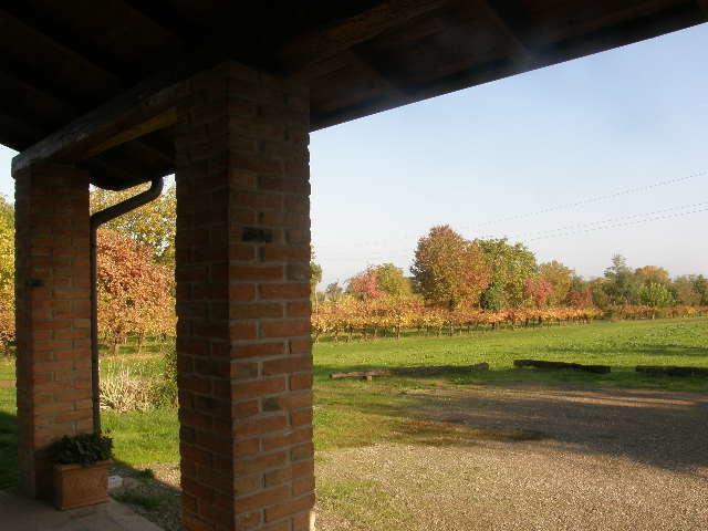 Agriturismo Bosco Del Fracasso Scandiano Exterior foto